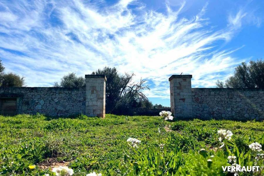 Grundstück mit aktueller Baugenehmigung für eine Finca zwischen Santanyi und Cas Concos