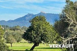 Grundstück mit aktueller Baugenehmigung für eine Finca zwischen Santanyi und Cas Concos