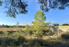 Building plot with existing project in Sa Rapita, just a few minutes from Es Trenc beach